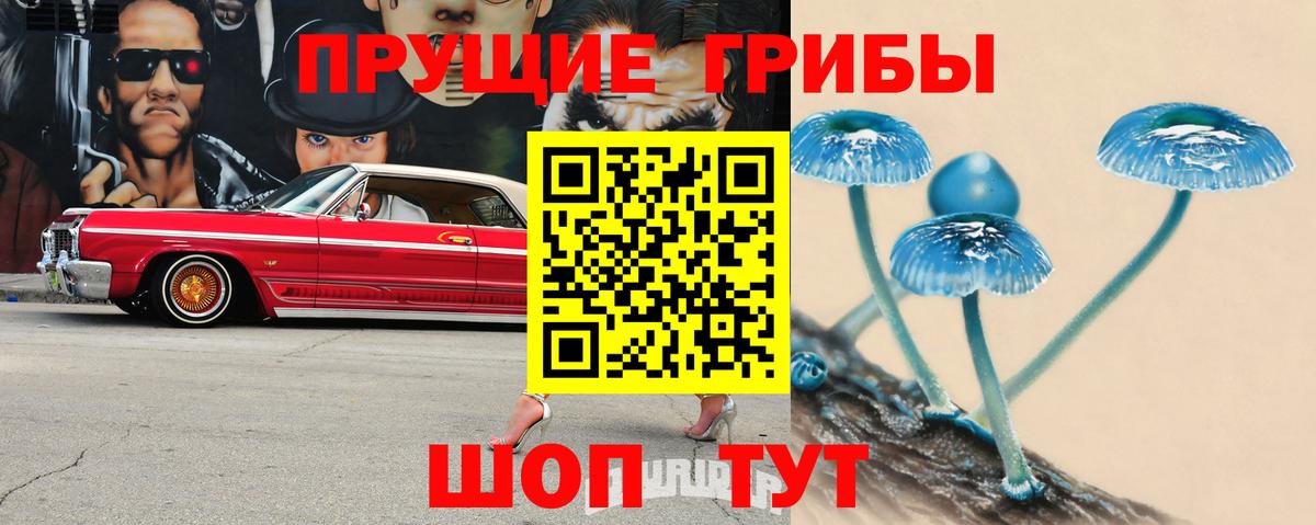 Галлюциногенные грибы мухоморы  Вход с VPN  Белгород 